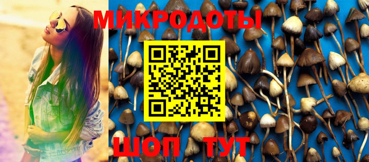Псилоцибиновые грибы мухоморы Вятские Поляны